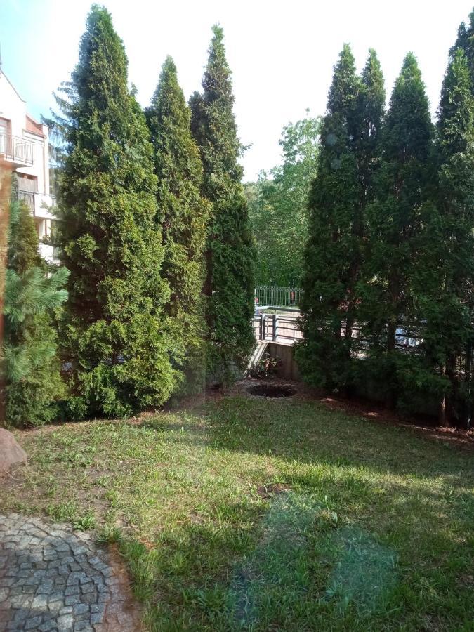 Niewielki Pokoj Jedno Lub Dwuosobowy W Duzym Mieszkaniu W Gdansk Wrzeszcz Ul Smoluchowskiego Kolo Akademii Medycznej - Cooliving Luaran gambar
